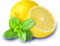 Menthe citron icon
